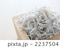 国産シラス