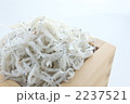 国産シラス