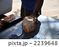 ココナッツ　ヤシの実