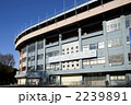 明治神宮野球場