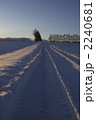 2240681