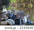 Flood Crisis
