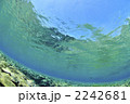 水面