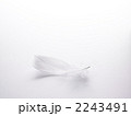 フェザー
