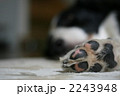 2243948