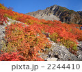 登山写真・北アルプスの涸沢の紅葉