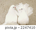 2247410