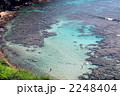 Hanauma Bay(ハナウマ湾)