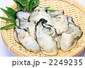 牡蠣