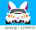 USAGI CAR