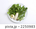 春の七草