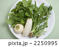 春の七草