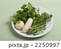 春の七草