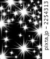 2254313