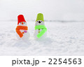 2254563