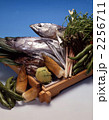 生魚　鮮魚　魚　カツオ　筍