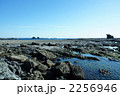 双島と岩礁