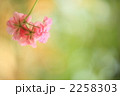 2258303