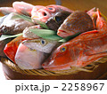 魚介