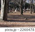 代々木公園で