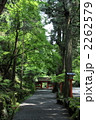 新緑の貴船神社　奥宮への参道