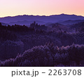 厳冬の朝