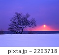 琵琶湖畔の冬