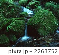 苔むす流れ