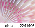 ケヤリムシ