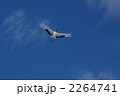 2264741