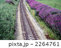 82799