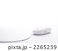 マウス