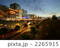 お台場の夜