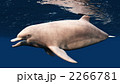 2266781