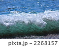 神島の海