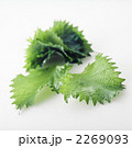 しそ・大葉