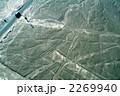 空からナスカの地上絵を見る。