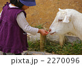 2270096