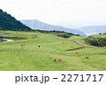 熊本阿蘇山