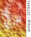 2274441