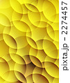 2274457