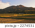 里山の晩春　夕暮れ