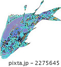 水中魚