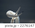 2276147