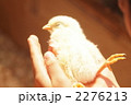 2276213
