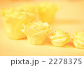 薔薇の背景