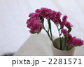 2281571
