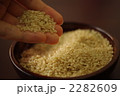 玄米を手ですくう