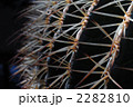 2282810