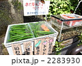 冷たく冷えた野菜達